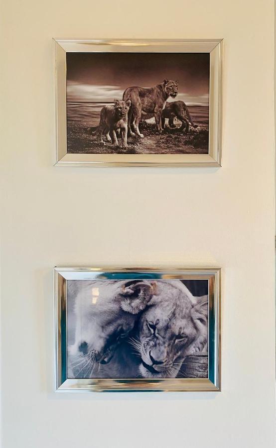 The Sleeping Lion - Dunoon Holiday Home Zewnętrze zdjęcie